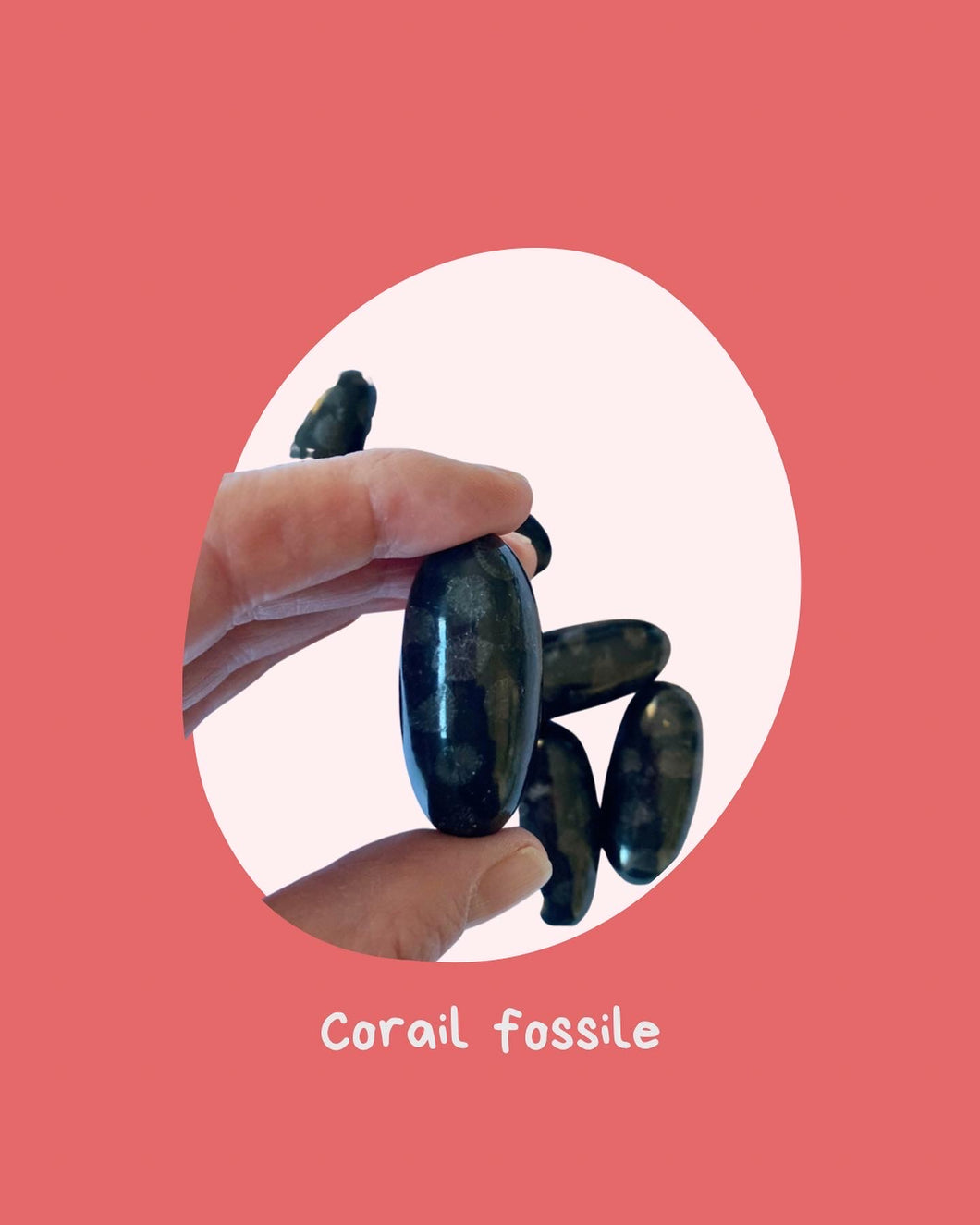corail fossile noir 